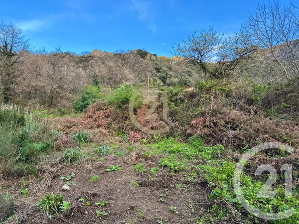 Terrain 407 m²