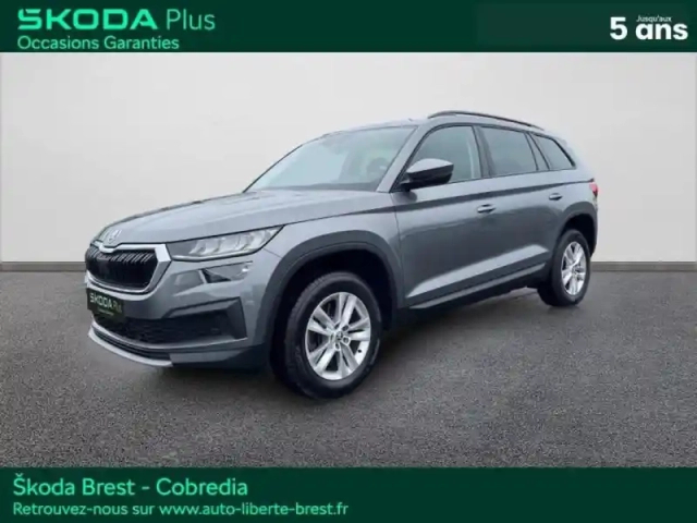 Skoda Kodiaq 2.0 tdi 150ch scr business dsg7 7 places