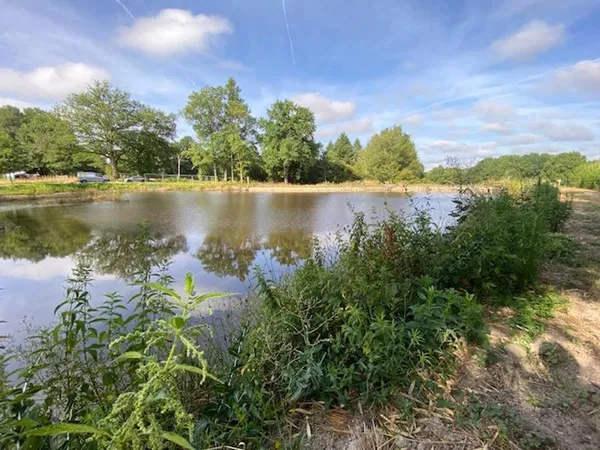Terrain 5688 m²