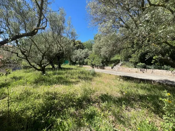 Vends terrain