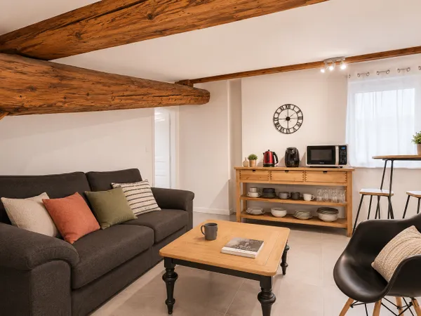 Colocation meublée - appartement de charme 74m² - centre ville de St Étienne