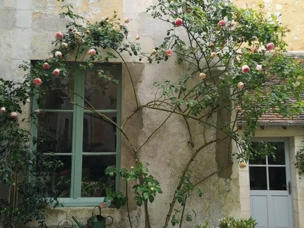 Maison de ville 8 pièces 330 m²