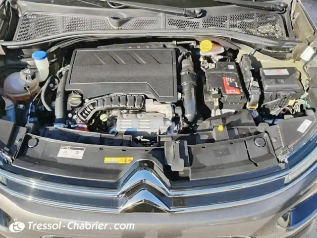 Citroën C4 cactus puretech 110 s&amp;s bvm6 shine — photo 29