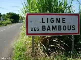 Terrain constructible ligne des bambous 97410 saint-pierre
