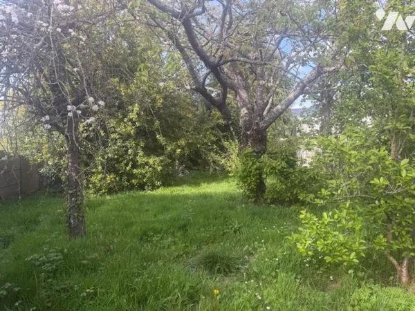 Terrain 950 m²