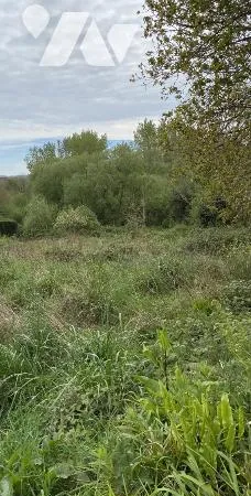 Terrain 13255 m²