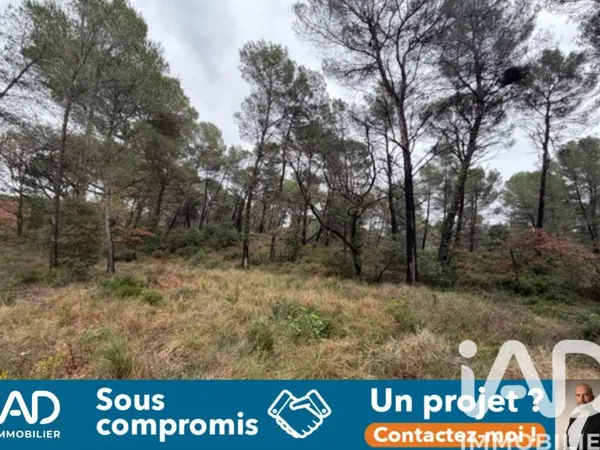 Terrain 6805 m²