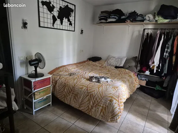 Location appartement 55m2