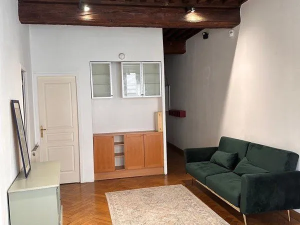 T3 meublé lumineux - 53 m² - Lyon 9e / Saint-Pierre de Vaise
