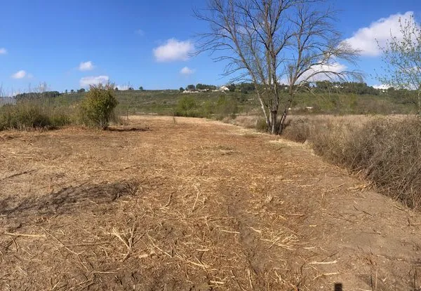 Location d'un terrain agricole très agréable et arboré à proximité de Grabels