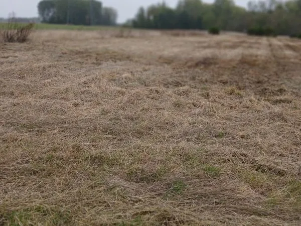 Terrains agricoles