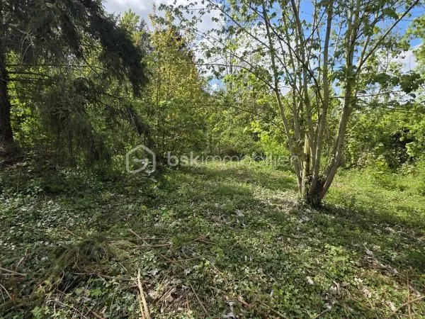 Terrain 998 m² Catenoy
