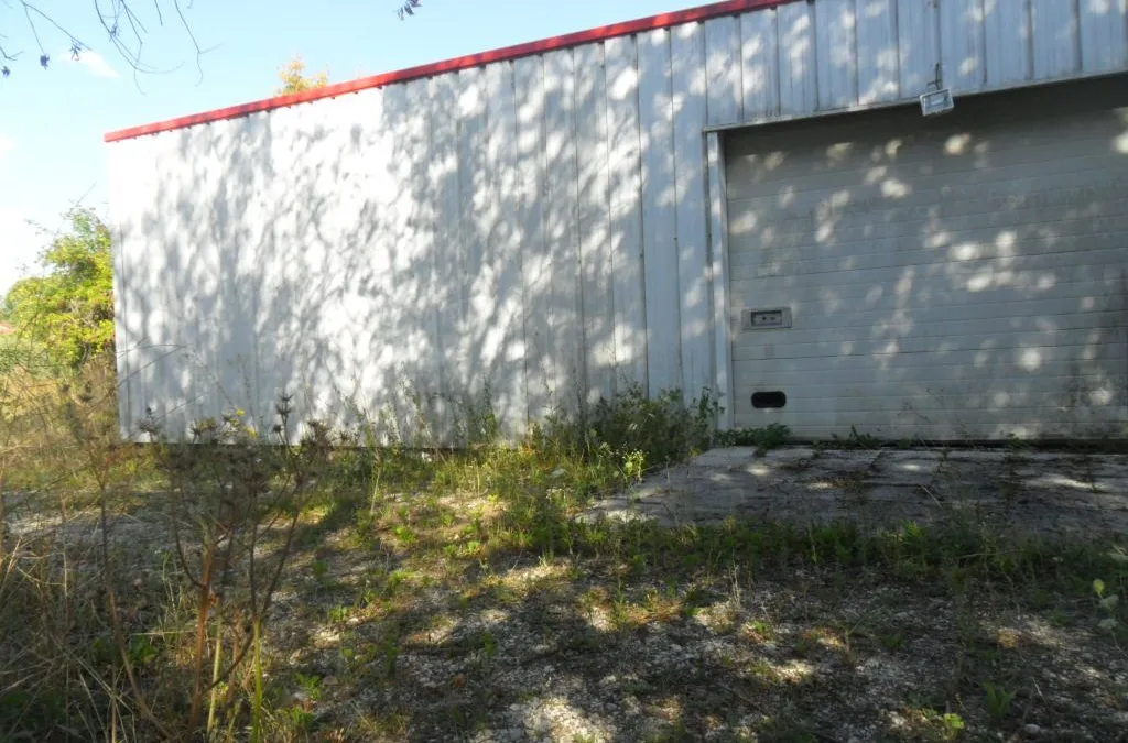 Photo 4