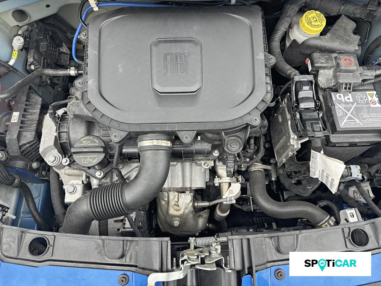 Fiat Panda 1.0 70ch bsg s&s  cross — photo 20