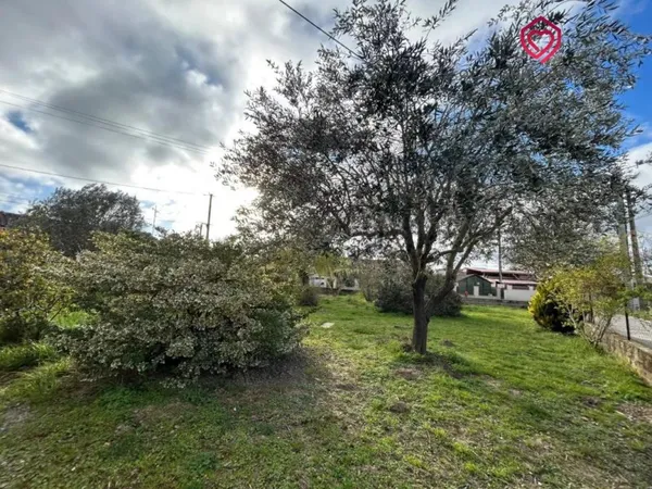 Terrain en individuel 679 m²