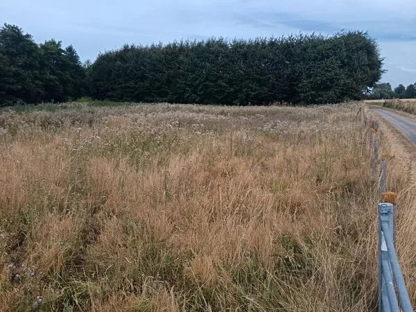 Terrain agricole la Frenaye