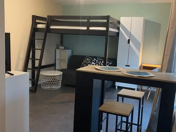 Studio meublé cosy 29m2 Neudorf