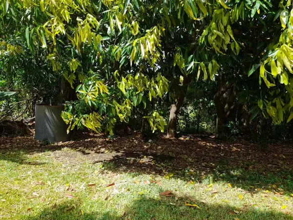 Terrain Constructible à Vendre à Saint-Pierre, Réunion
