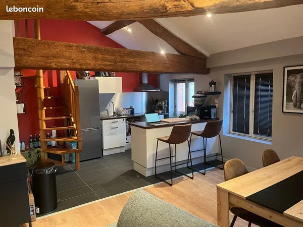 Appartement chaleureux centre ville