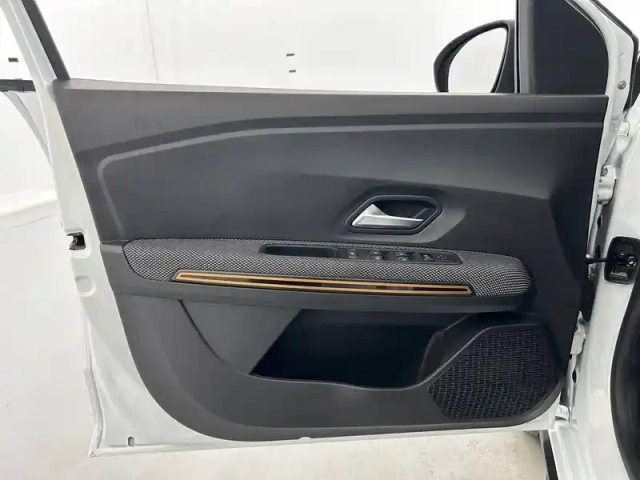 Dacia Sandero eco-g 100 - 22 — photo 38