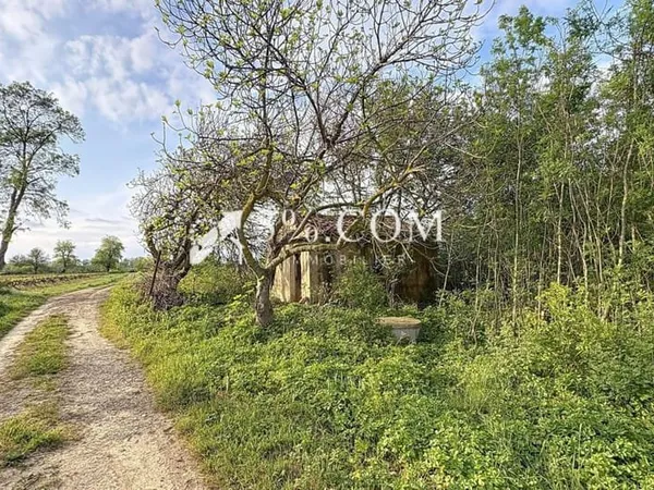 Terrain agricole et de loisirs de 4 558 m2 -cadre boisé, pui
