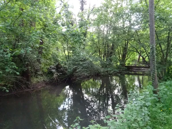 Terrain 625 m²