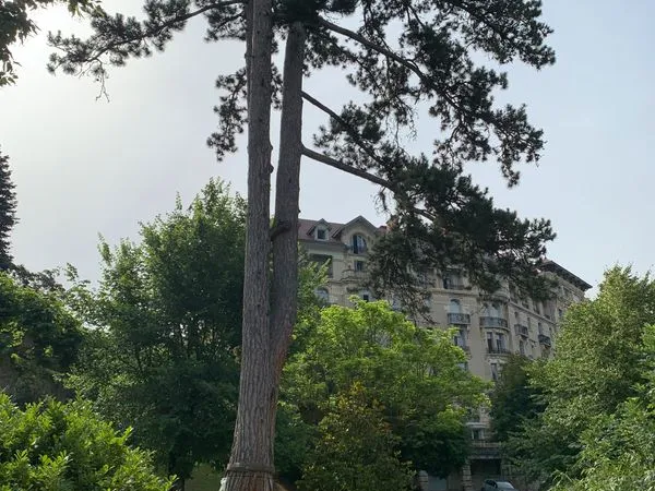 AIX-LES-BAINS - Appartement T2 de caractère au coeur d'Aix-les-Bains