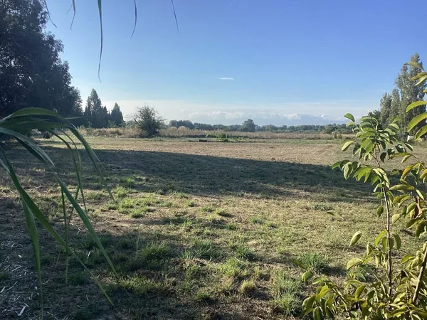 Terrain 7400 m²