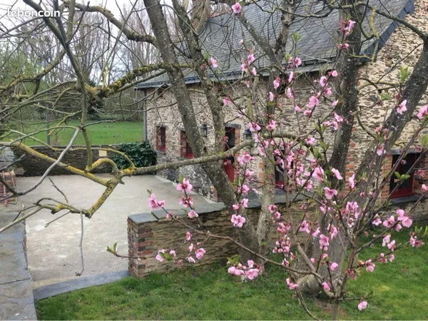 Location charmante maison en pierre