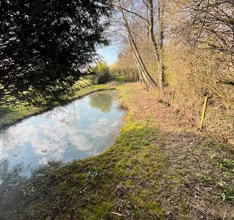 Étang, terrain, Havre de paix au coeur de la nature