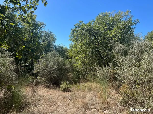 Terrain 5 000 m² Seillons Source D Argens