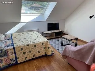 Appartement Location Scionzier 1p 35m² 530€