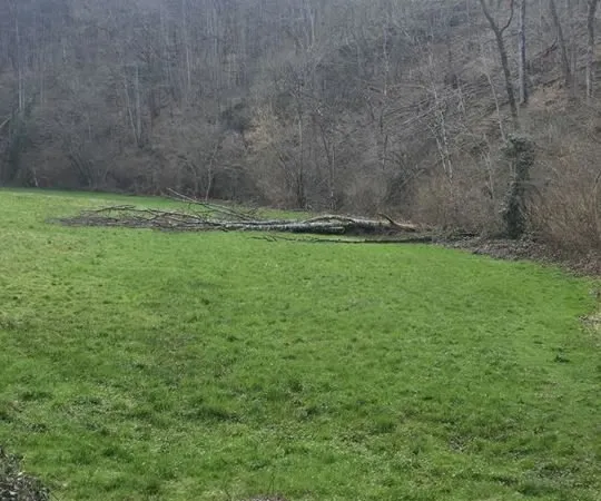 Terrain - 14515m ²