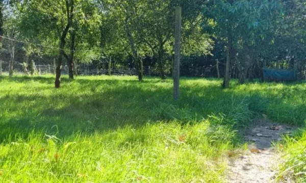 Terrain 982 m²
