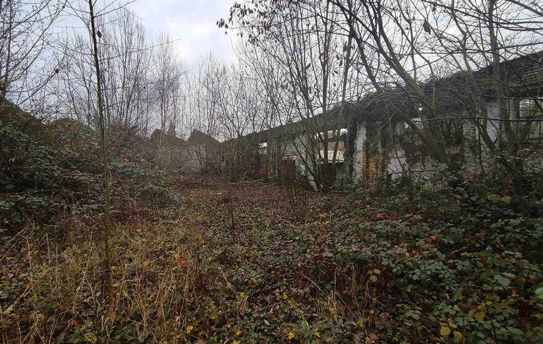 Photo 11