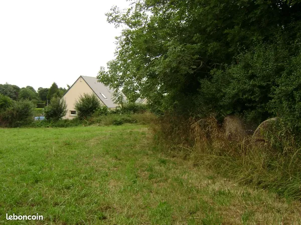 Terrain constructible
