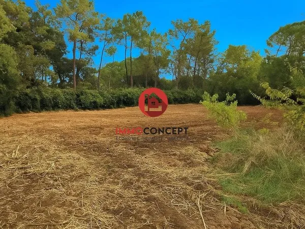 Terrain constructible