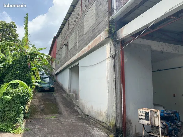 Dépôt / Local professionnel 330 m² - Fort-de-France