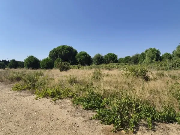 Terrain 274 m² Latour-Bas-Elne