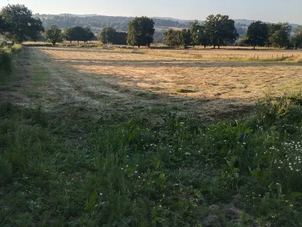 Pré pâture terrain agricole