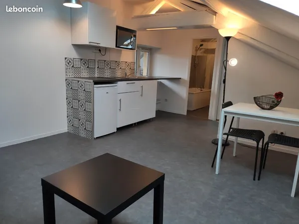 Charmant appartement T1 bis centre ville