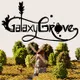 Galaxy Grove