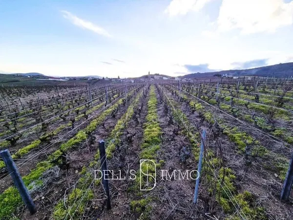 Terrain 20647 m²