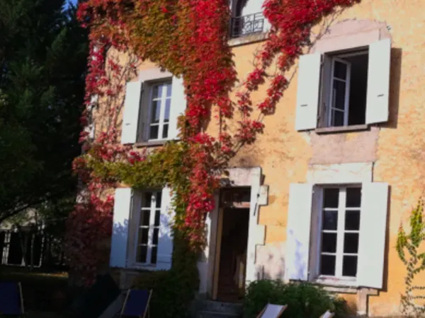 Vends belle maison rénovée au milieu des vignobles du chablisien, 300 m2, 5 à 6 chambres