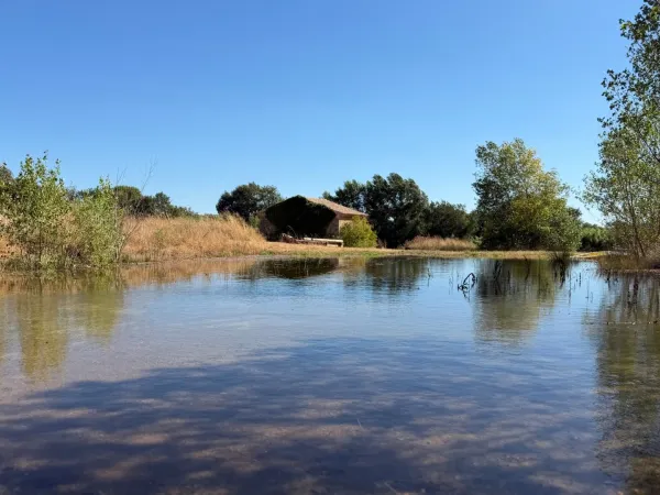 Terrain 12929 m²
