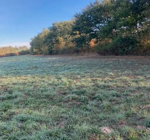 Terrain agricole libre 13960m2