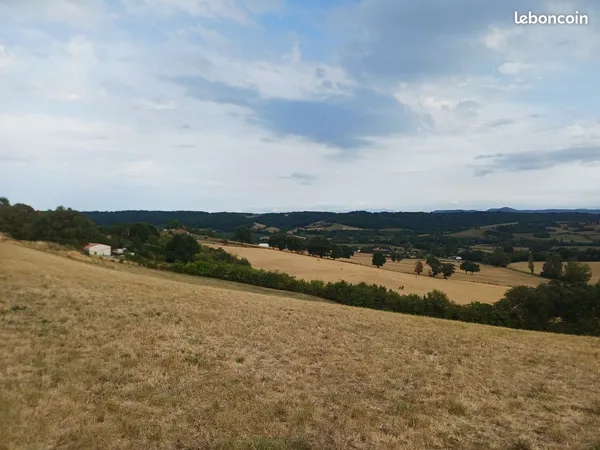 Terrain 2800 m² Francon (31420) 60 000