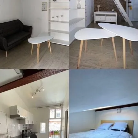 Appartement 1 pièce 19 m²