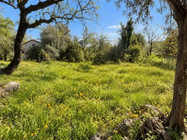 Terrain 640 m²