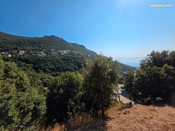 Terrain constructible 317m2 vu mer et montagne Ville Di Pietrabugno